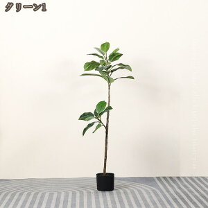 tFCNO[ S̖ A lHϗtA ϗtA Ύ ^  CeA  ItBX   K^̖ sv ͂Ȃ z[  Lb` Ƃ̒ɒu 