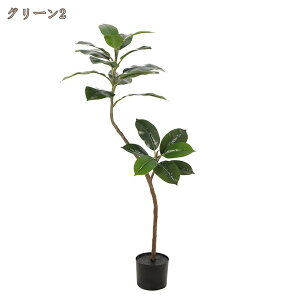 lHϗtA K̖ S̖ sv R  rO ^ CeAO[ Ύ   lHϗt  A JXj J@j z j v[g t 