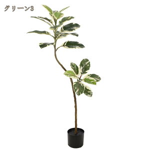 lHϗtA K̖ S̖ sv R  rO ^ CeAO[ Ύ   lHϗt  A JXj J@j z j v[g t 