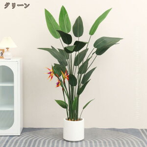 tFCNO[ Ɋy A lHϗtA ϗtA Ύ ^  CeA  ItBX   K^̖ sv ͂Ȃ z[  Lb` Ƃ̒ɒu 