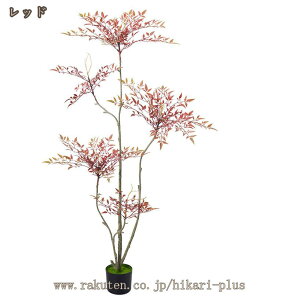 tFCNO[ lH ϗtA | ou[ A K̖  lH  J^  v[gp  ͂ȂO[ ȒP sv Q쏜sv k  _ M