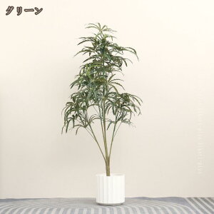 CeAO[  ϗtA R hJr tFCNO[ xW~ Ύ  lHϗt 킢 Vv _ ItBX  CeA ^ bȂ sv y