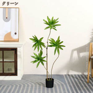 lHϗtA K̖ K̖ sv R  rO ^ CeAO[ Ύ   lHϗt  A JXj J@j z j v[g t 