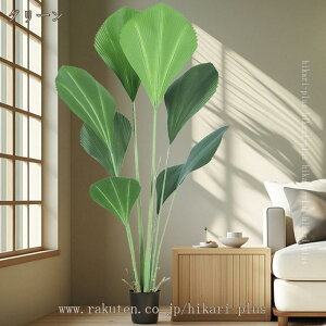 sv V̖ tFCNO[  lH ϗtA  rO  ItBX t t lHϗt Mtg v[g S CeAO[  傫 킢 