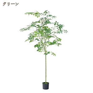 sv K̖ tFCNO[  lH ϗtA  rO  ItBX t t lHϗt Mtg v[g S CeAO[  傫 킢 