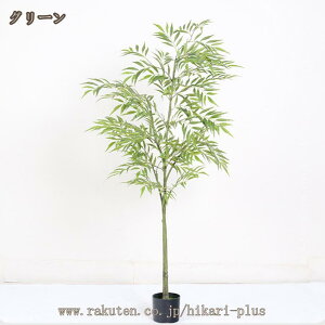 CeAO[  ϗtA R hJr tFCNO[ | ou[ Ύ  lHϗt 킢 Vv _ ItBX  CeA ^ bȂ sv y