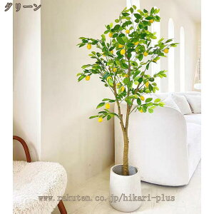 tFCNO[ ̖ ϗA lHϗt ϗtA tFCNc[ ^ A  Ύ Q쏜sv ȒP j a   蕨 v[g Ce