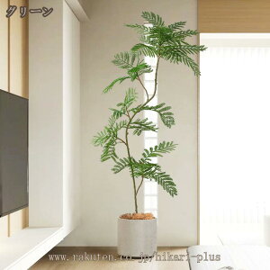 lHϗtA tFCNO[ WJ_̖  ϗt K̖ hJr R  z[ Vzj̑ p a  j v[g 蕨 ϏܐA { 