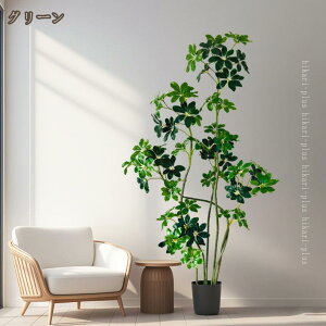 Ύ xW~ tFCNO[ ^ A ϗtA tFCN lHϗA lHϗt Vv A   bȂ sv  rO ItBX 傫 {