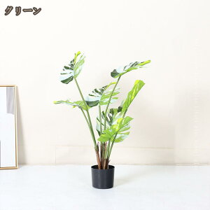 Ύ Xe tFCNO[ ^ A ϗtA tFCN lHϗA lHϗt Vv A   bȂ sv  rO ItBX 傫 {