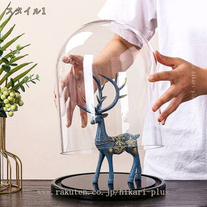 KXh[ ^ ~`  fBXvCP[X tBMA P[L u RNVp ho NAJo[ H|i CeA Wp t zRh~ [ Ϗܗp v[g hikari-pl