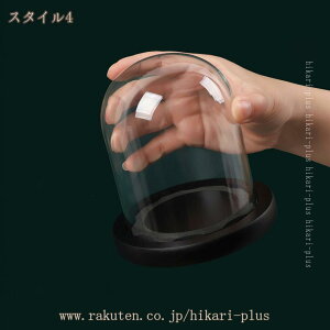 KXh[ fBXvCP[X CeA [ hoJo[ tBMA vU[uht[ hCt[ Wp i  nhCh ͌^ KXJo[ hikari-plus