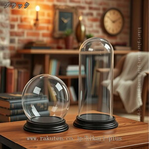 KXh[ fBXvCP[X hoJo[ p tBMA RNV W{bNX Jo[   CeA u fBXvC Xܗp V[P[X hikari-plus