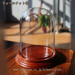 KXh[ fBXvCP[X hoJo[ p tBMA RNV W{bNX Jo[   CeA u fBXvC Xܗp V[P[X hikari-plus