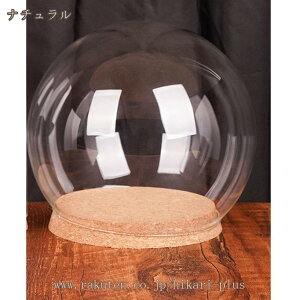 KXh[ fBXvCP[X hoJo[ H|i WG[ tBMA u RNV  fR[V G KX Jo[  蕨 Jo[ [P[X hikari-plus