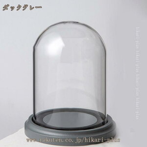 ~ fBXvCP[X KXh[ WG[W ̓W ANZT[ tBMA H|i KXJo[ ho ؐx[X  CeA Xܑ KXP[X hikari-plus