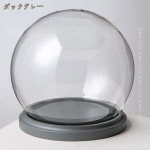 KXh[  `  RNV  f P[L t[IuWF iW hCt[ۑ fW XܓW  Q rO NAh[ hikari-plus