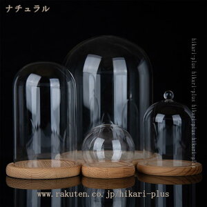 KXh[ hoJo[ WG[ ANZT[ RNVP[X tBMA ̓Wp Jo[  CeA Xܑ  fBXvC{bNX V[P[X hikari-plus