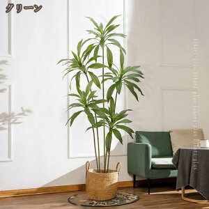 tFCNO[ CeA A lHϗtA lHA   ϗpA hZi O[ K̖ 蕨 Mtg ̓ ̓ v[g sv ȒP JX