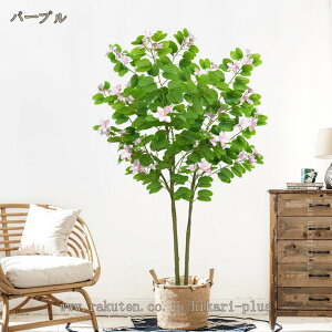 tFCNO[ CeA A lHϗtA lHA   ϗpA oEqjA O[ K̖ 蕨 Mtg ̓ ̓ v[g sv ȒP J