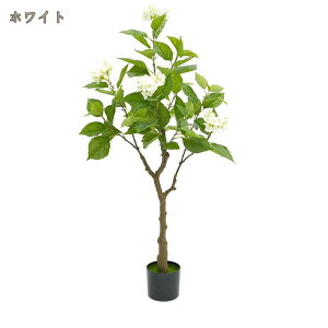 tFCNO[ lHϗtA z ϗA ϗt 엿͕Kv܂ ȒP  Vv  ItBX A A CeAO[  K̖ K̖