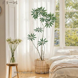  lHȒPb炸 sv tFCNO[ hZi { lH ϗtA ϗt ϗA CeA  rO ItBX    傫 A A 