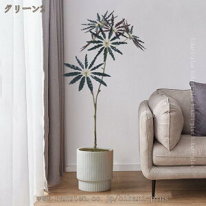  lHȒPb炸 sv tFCNO[ hZi { lH ϗtA ϗt ϗA CeA  rO ItBX    傫 A A 