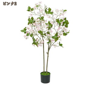 tFCNO[ CeA A lHϗtA lHA   ϗpA u[QrA O[ K̖ 蕨 Mtg ̓ ̓ v[g sv 