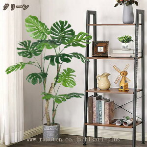 tFCNO[ lHϗtA ϗt  ^ Xe K̖ ͂Ȃ sv bȂ  z[  ItBX CeA  { K^̖ A IV