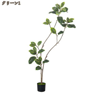 tFCNO[ lHϗtA ϗt  ^ S̖ K̖ ͂Ȃ sv bȂ  z[  ItBX CeA  { K^̖ A IV