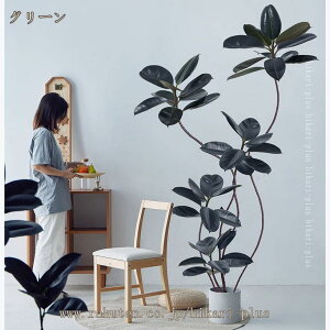 tFCNO[ lHϗtA S̖ A  CeA ͂Ȃ ϗt { ItBX K̖ ȒP  z[  fR[V Mtg 蕨 Vz