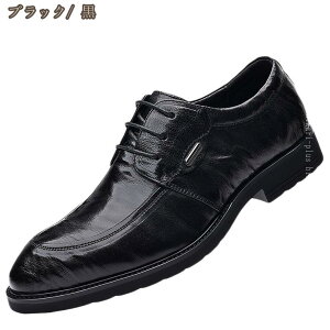 rWlX V[Y Y C 24.0-27.0cm j Xb| JV \tgC h y h L h~ Ȃ Ռz  tFCNU[ ʋ d JWA Vv L R