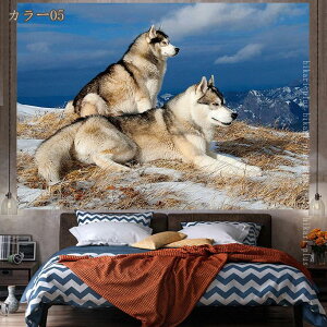 ^yXg[ t@ubN|X^[ mg[ ؍ CeA Vv A[gǊ| CeA i` k p ĕ ؍ JtF JtF X    EH[