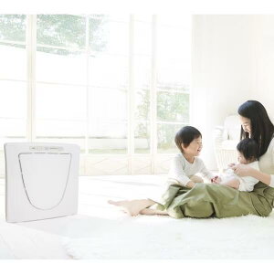 cCo[h TWINBIRDC@ t@fBt@C wp 12 zCg AC-4238WEԕis