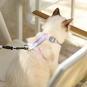 Of[VJ[Jbgn[lXA121.92cm̃[htAOUɓKvŌyʂȃ|GXeybg[hALɓKĂ܂B