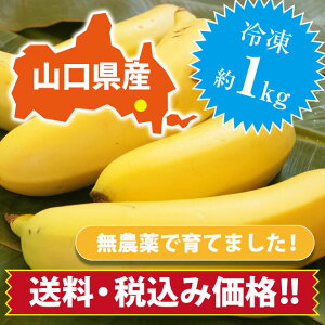 バナナ ジュースの人気商品 通販 価格比較 価格 Com