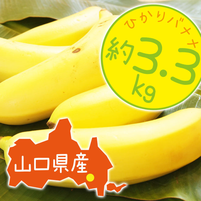楽天市場】【ひかりバナナ】3.3kg 約18〜25本 国産バナナ バナナ 国産