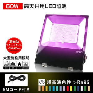 �y�����^���ȃG�l�z���O�� LED������ �u���b�N���C�g LED������ 60W led������ ���O�p �h�� UV���C�g 600W���� �L�p120�x IP65�h�� ���O�������� LED ���[�N���C�g �����p�x180° �d�����C�g �i�ϏƖ� 