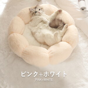 ybgxbh ӂӂ xbh L lR nEX ~ ~p H g  NbV Ԍ^   Vv 􂦂 n Q ^ ^ ybgNbV ӂ ΍ _炩 y