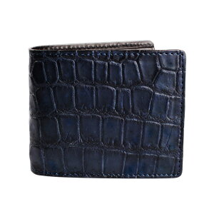 ܂z NR_Cz lCr[u[ C^AU[ ubN FUSION