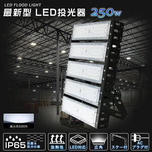 nCp[ 250W LED  Ɠ IP65h 50000lm 6000k F Lp120x h O T[`Cg LEDO q 2500w  GR ȃGl LED X|[cƖ ^  oƖ Ɩ V