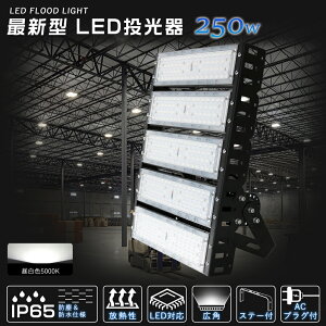 nCp[ 250W LED  Ɠ IP65h 50000lm 5000k F Lp120x h O T[`Cg LEDO q 2500w  GR ȃGl LED X|[cƖ ^  oƖ Ɩ V