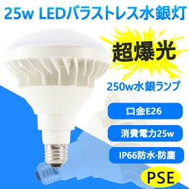 LED電球 ビーム球200W型相当 E26 5000lm 高輝度 消費電力25W 長寿命 白色 電球色 e26口金 26mm LEDライト LED照明 省エネ エコ 看板 照明 LEDビーム電球 ビームランプ形 LEDスポットライト PAR38 防水防塵 IP66相当 屋外屋内兼用 ハロゲン球 led 投光器 屋外 防水