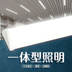 LEDu ̌^ 50wd 120cm Lb`pCg ledx[XCg 40` 8mm 8 12 邢 ^u GRy ȃGl ȒPڑ VledƖ ledu led Cg Lb`pCg V