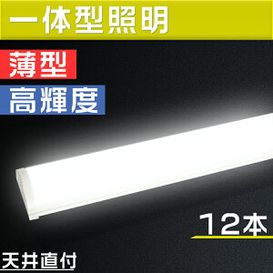 12{Zbg ledx[XCg 40` LEDu ̌^ 50wd 120cm Lb`pCg 8 12 邢 ^u GRy ȃGl ȒPڑ VledƖ ledu 8cm led Cg V[