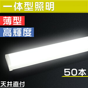 50{Zbg ledx[XCg 40` LEDu ̌^ 50wd 120cm Lb`pCg 8 12 邢 ^u GRy ȃGl ȒPڑ VledƖ ledu 8cm led Cg V[
