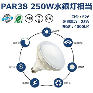 ƊEgbvNX par38 25W 4000lm̖邳 LEDOp `d@PAR38@E26mCYȂ 300W nCr[d r[v tv F5000K