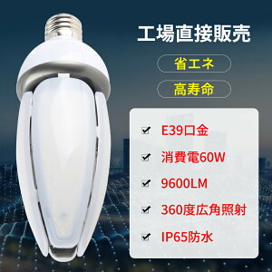 yH꒼ڔ̔ LEDR[Cg 60WzLEDR[Cg R[^ ⃉v ⓔ d60W Px9600LM e ό` ϐF 2Nۏؕt PSEF d Hsv IP65h 600W