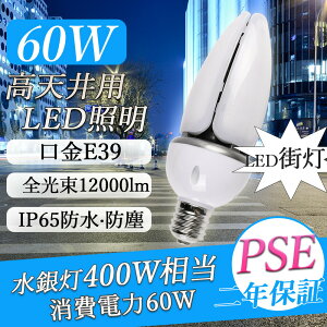 LED ⃉v R[^ 400W ⓔp LEDoXgXⓔ E39 60W 12000LM IP65h Ǝˊpx360x S ⃉v ^Ή q H XH hƓ ledX|bgCg led 