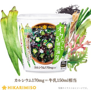 Jbv X` VEGE MISO SOUPIN5̊C×6JbvJVE170mg R ݂  ݂` CX^g ȒP ֗  y `  h{T|[g Ђ薡X